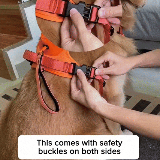 PupFlex Harness™ | All in one Dog Harness and Leash Set