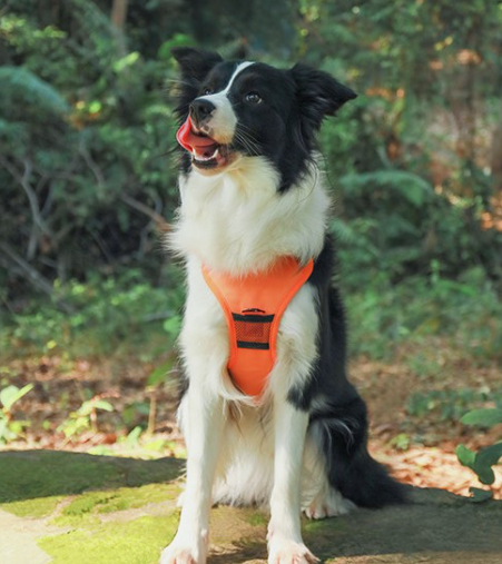 PupFlex Harness™ | All in one Dog Harness and Leash Set