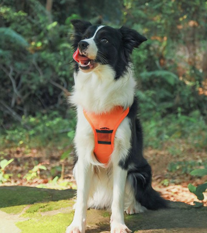 PupFlex Harness™ | All in one Dog Harness and Leash Set