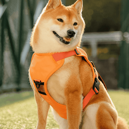 PupFlex Harness™ | All in one Dog Harness and Leash Set