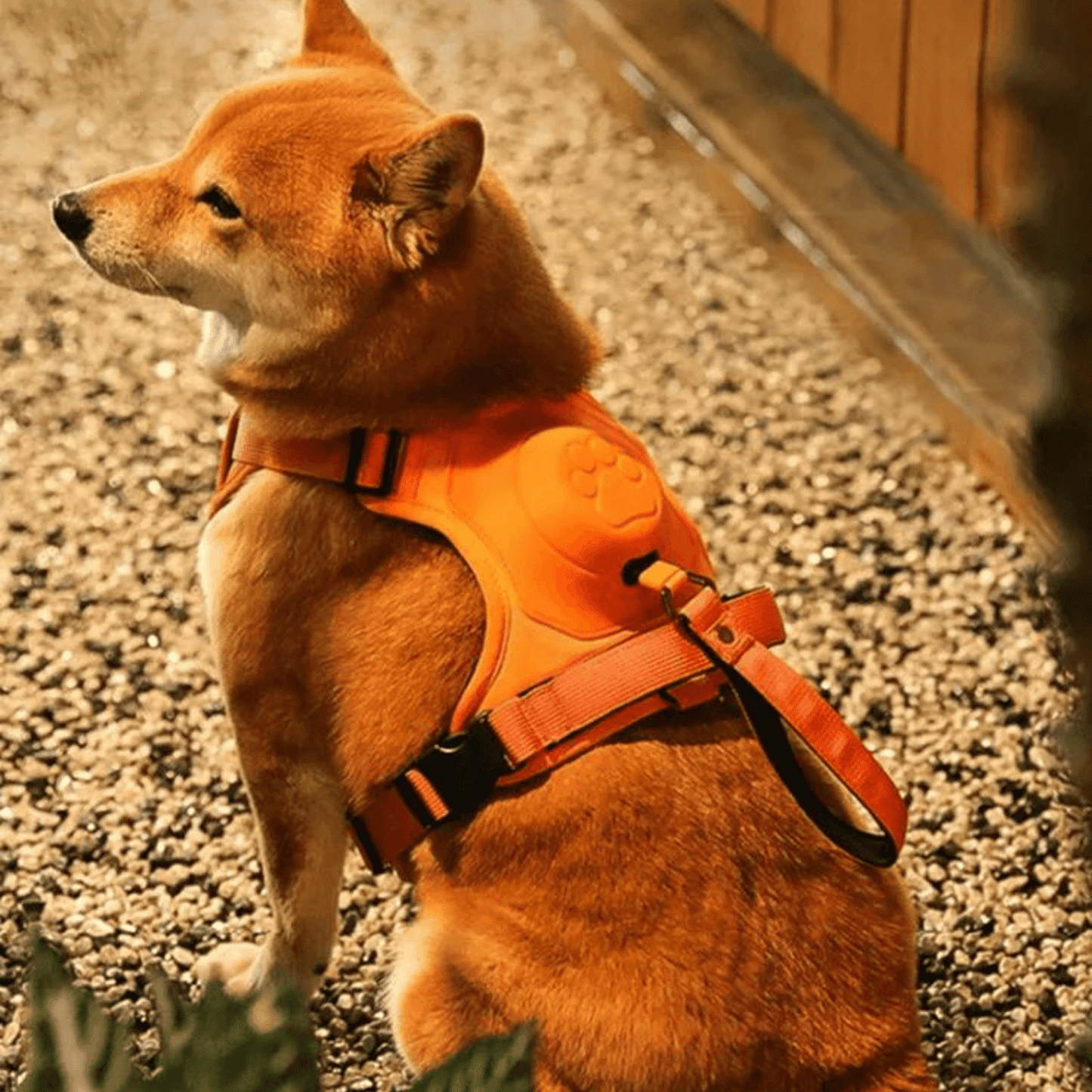 PupFlex Harness™ | All in one Dog Harness and Leash Set