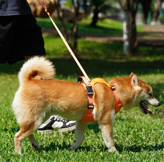 PupFlex Harness™ | All in one Dog Harness and Leash Set