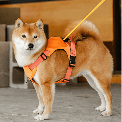 PupFlex Harness™ | All in one Dog Harness and Leash Set