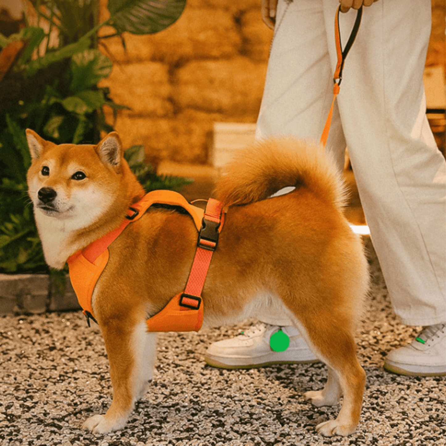 PupFlex Harness™ | All in one Dog Harness and Leash Set