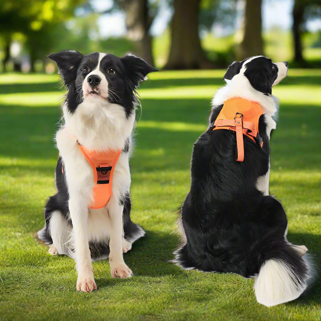 PupFlex Harness™ | All in one Dog Harness and Leash Set