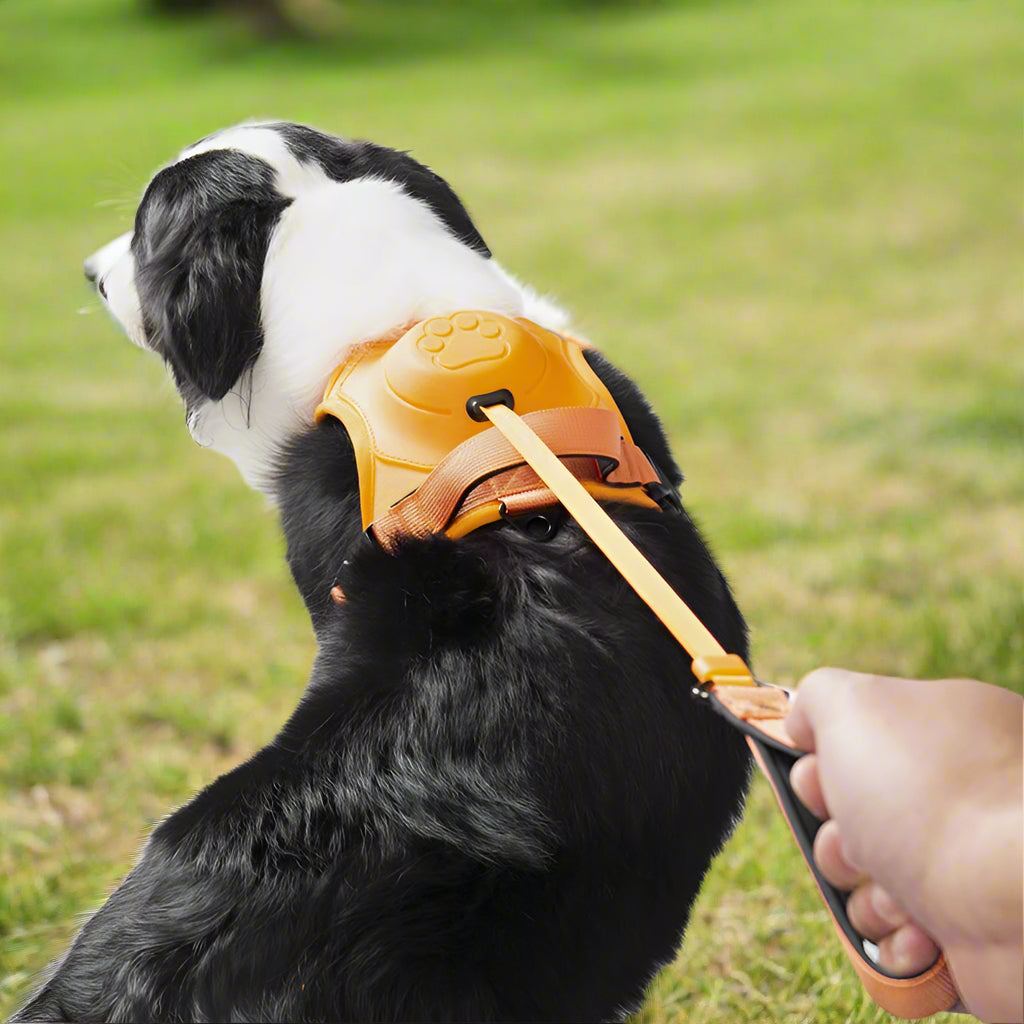 PupFlex Harness™ | All in one Dog Harness and Leash Set