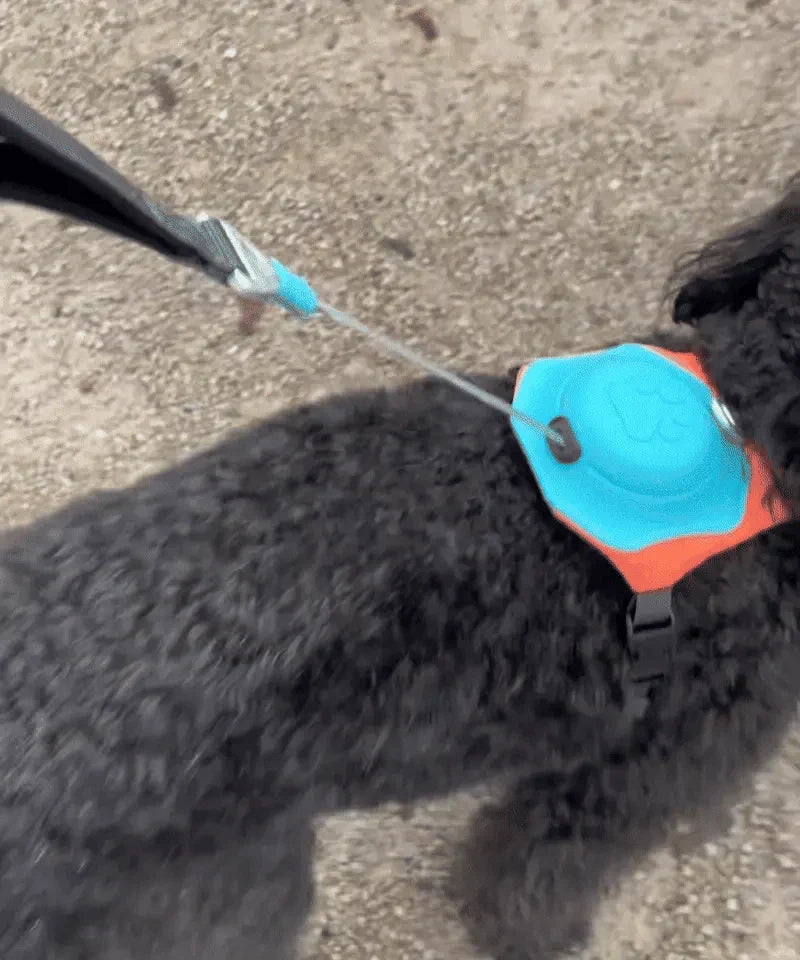 PupFlex Harness™ | All in one Dog Harness and Leash Set