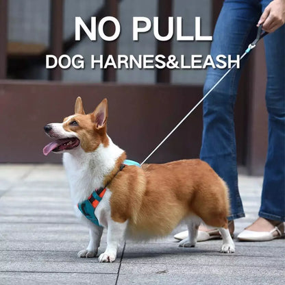 PupFlex Harness™ | All in one Dog Harness and Leash Set