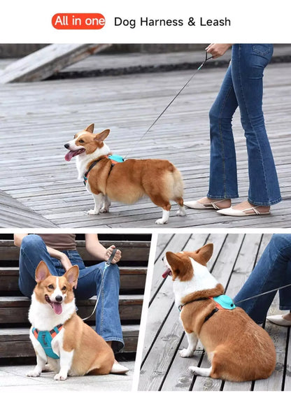 PupFlex Harness™ | All in one Dog Harness and Leash Set