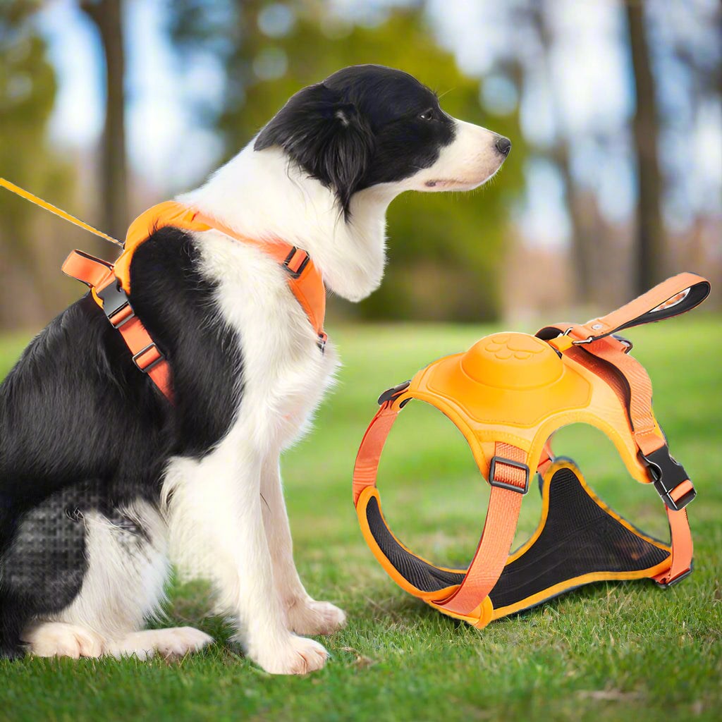 PupFlex Harness™ | All in one Dog Harness and Leash Set