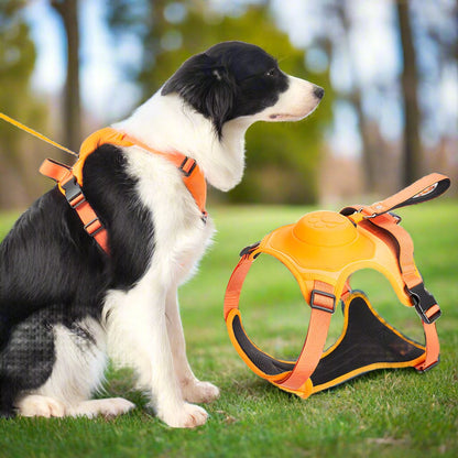 PupFlex Harness™ | All in one Dog Harness and Leash Set