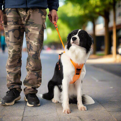 PupFlex Harness™ | All in one Dog Harness and Leash Set